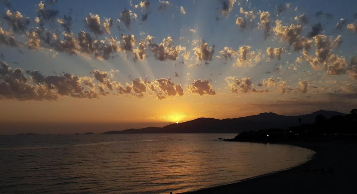 Agosta Porticcio - Plage A 200M - T2 Neuf Entre Mer & Maquis - Barbecue- Res Fiore Di Maghja - Parking - Wifi - 4 Pers Les Hameaux de Porticcio Eksteriør bilde